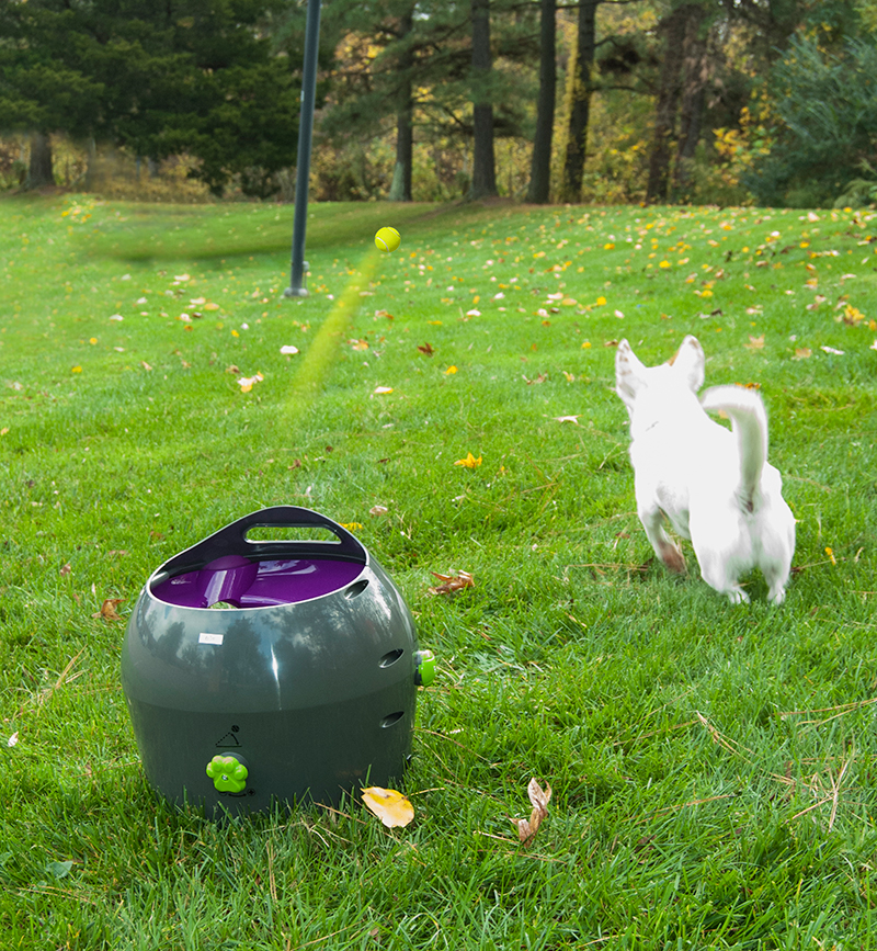 petsafe_automatic_ball_launcher_